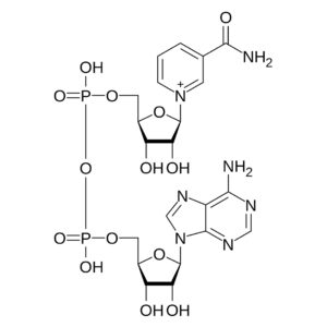 energy atp producing NAD+ peptide order online usa