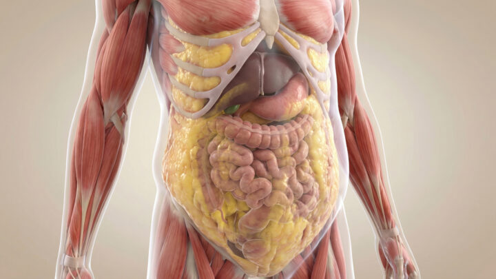 tesamorelin peptide visceral fat removal